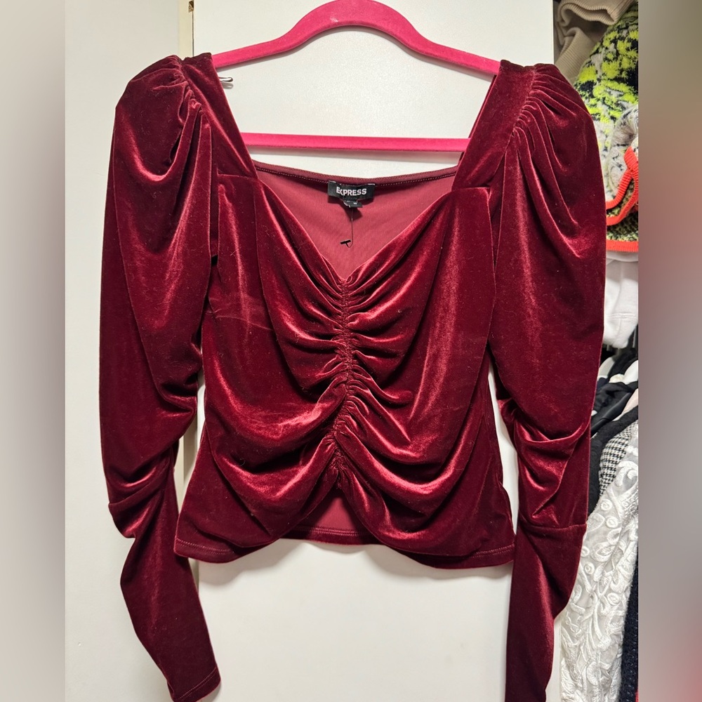 Express Velvet Ruched Blouse - Burgundy